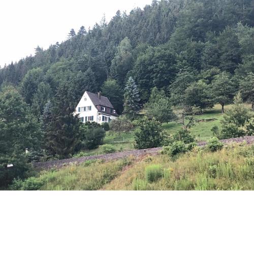Ferienhaus Waldglück
