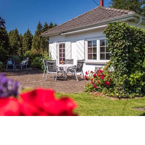 Ferienhaus Waldhaus
