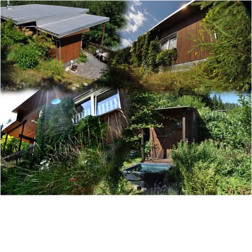 WaldLuftIn Ferienhaus