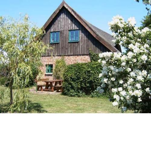 Ferienhaus Warthe USE 1771