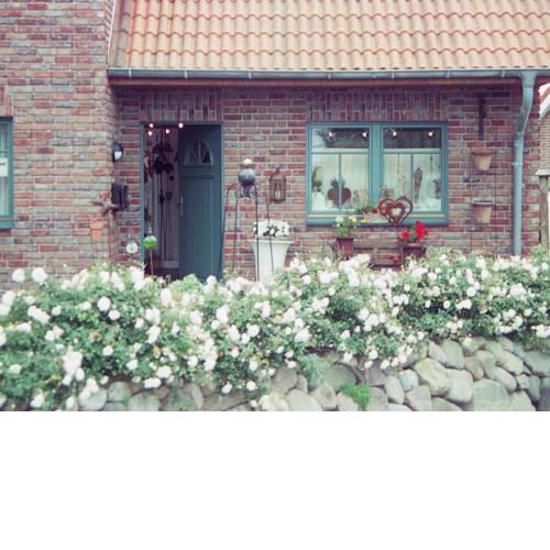 Ferienhaus Wattenhus