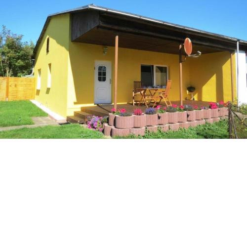 Ferienhaus Wiese und Meer