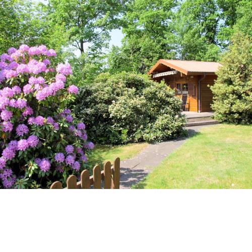 Ferienhaus Wingst 122S