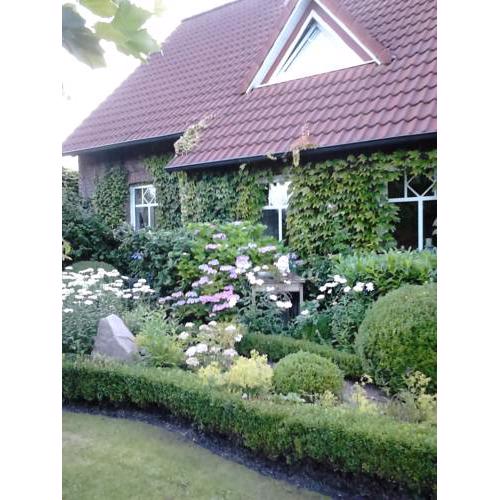 Ferienhaus Zaunkönig