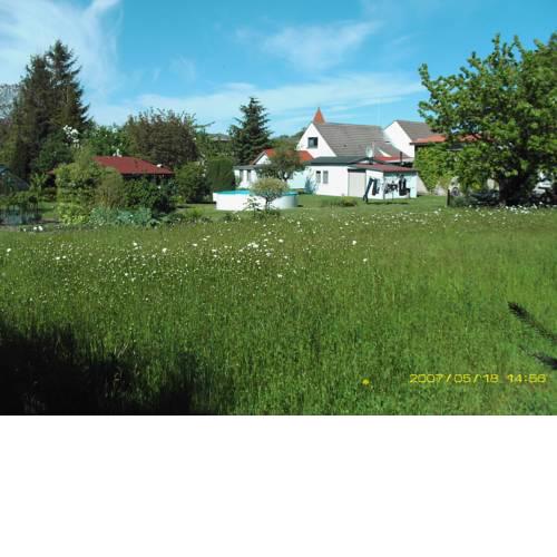 Ferienhäuser Vogelsang