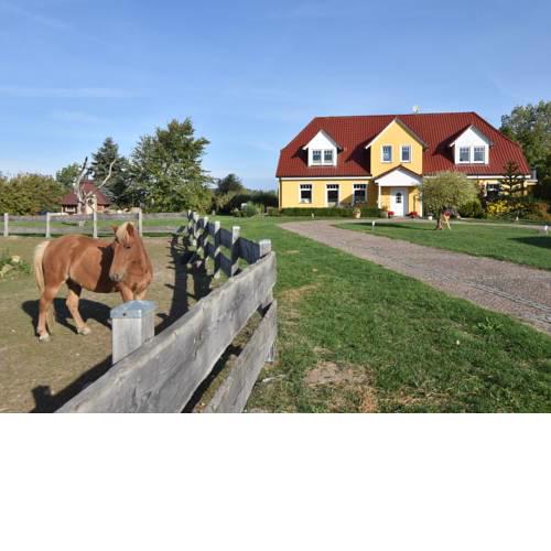 Beautiful Holiday Home in Kuhlungsborn with Garden