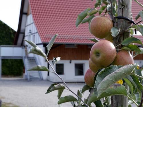 Ferienhof Waggershauser