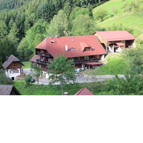 Ferienparadies Maierbauernhof