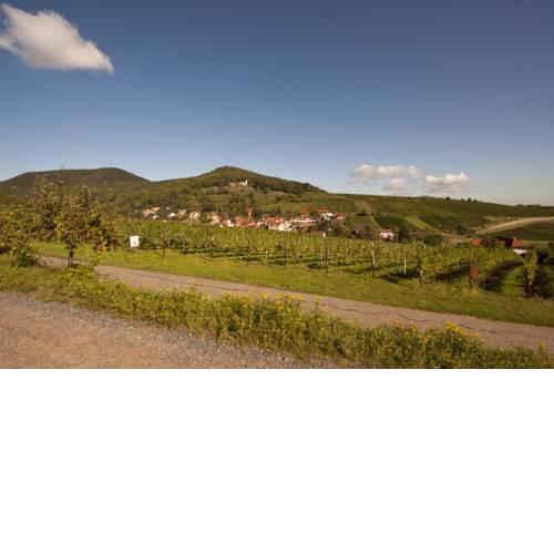 Ferienweingut Peter Stübinger