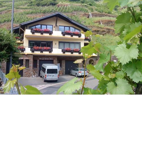 Ferienweingut Stein