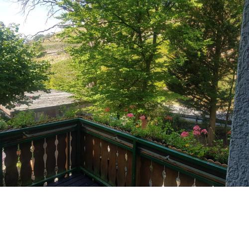 Ferienwohnung - a67931
