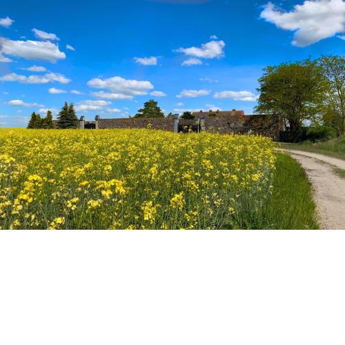 Ferienwohnung - Vierseitenhof Hasenfelde