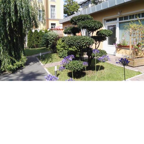 Ferienwohnung 3 - a63699