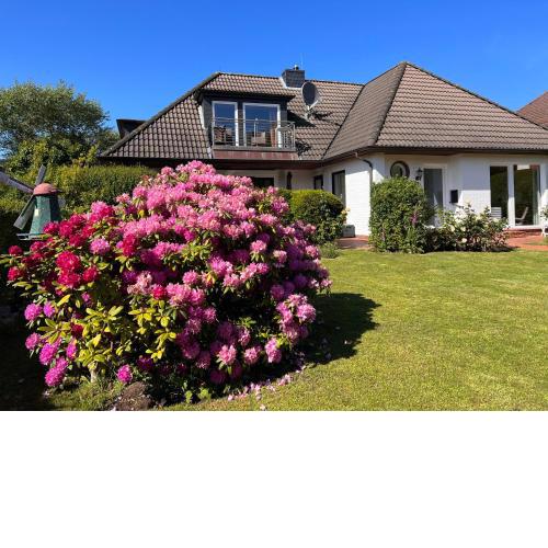Ferienwohnung 5- Villa Düna