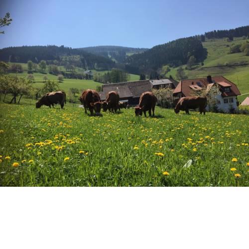 Ferienwohnung Abendrot - Maierhof in Oberried (Bauernhof, Wandern im Schwarzwald) - [#125218]