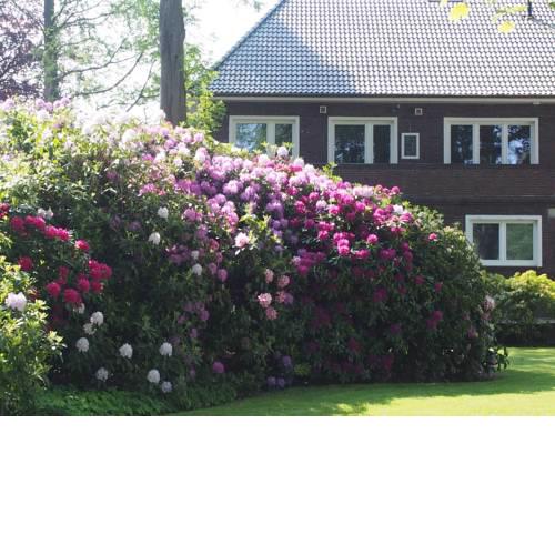 Ferienwohnung Alte Fehnapotheke, 95144