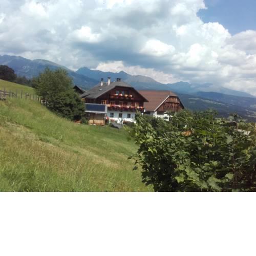 Ferienwohnung am Bauernhof-Moserhof