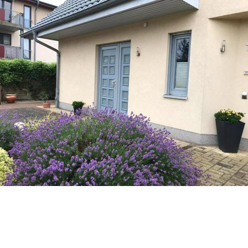 Ferienwohnung „Am Birkenhain“