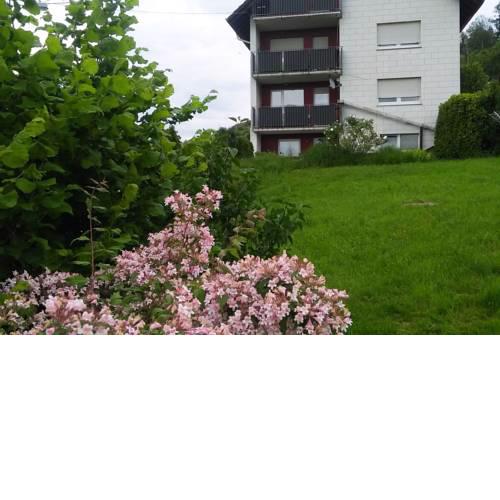 Ferienwohnung Am Eichbühl