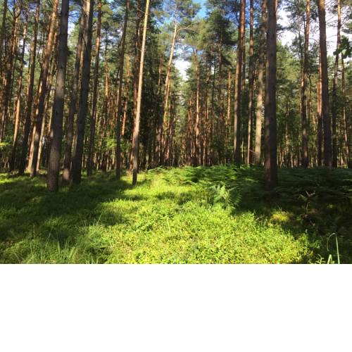 Ferienwohnung am Haff