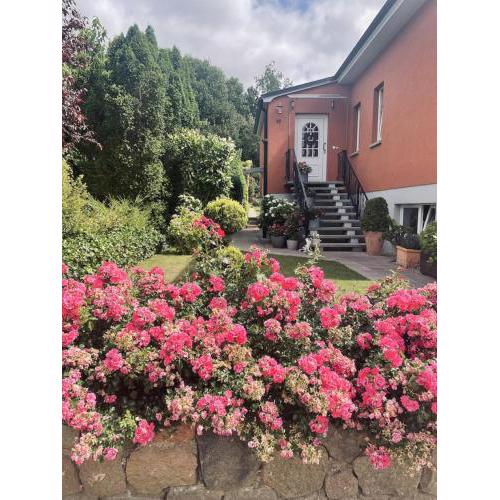 Ferienwohnung Am Hasenberg