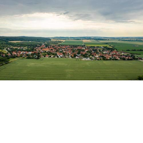 Ferienwohnung Am Huywald