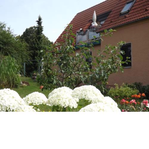 Ferienwohnung Am Panoramaweg