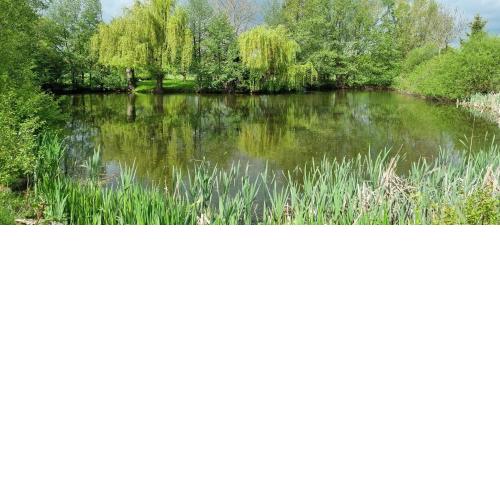 Ferienwohnung am See