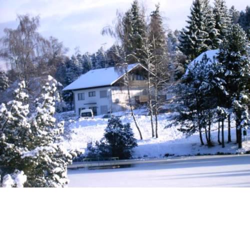 Ferienwohnung Am Skilift