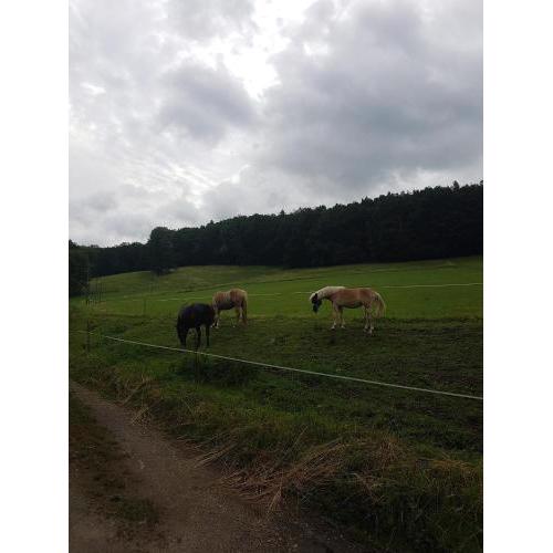 Ferienwohnung am Thüringen Radweg