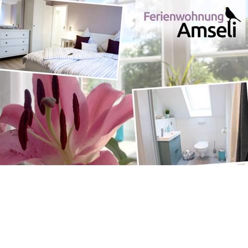 Ferienwohnung Amseli