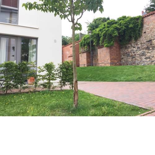 Ferienwohnung an der historischen Stadtmauer