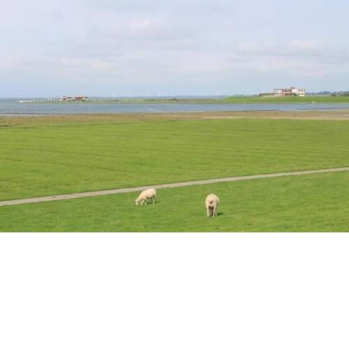 Ferienwohnung an der Nordsee / Husum Bucht
