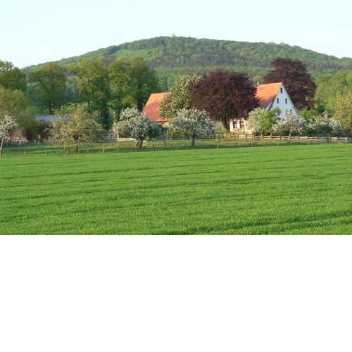 Ferienwohnung an der Obstwiese
