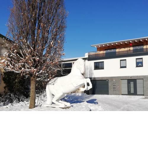 Ferienwohnung an der Reitanlage