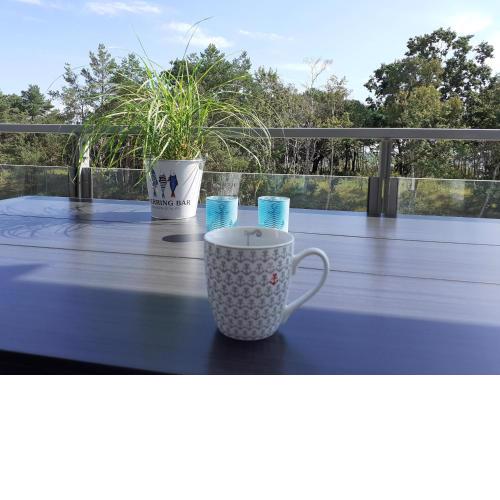 Ferienwohnung Balkon mit Meerblick