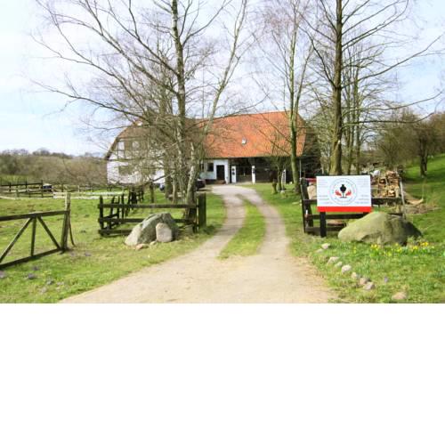 Ferienwohnung Bergfeld