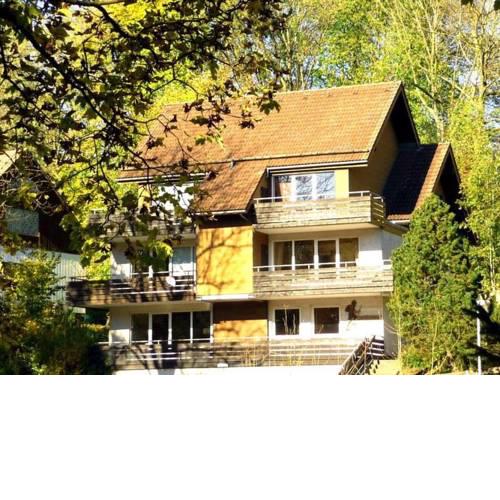Cozy Apartment in Germany near Ski Area