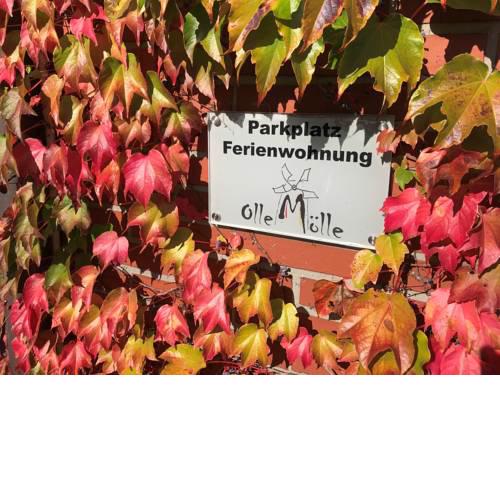 Ferienwohnung Bergjan "An der alten Mühle"