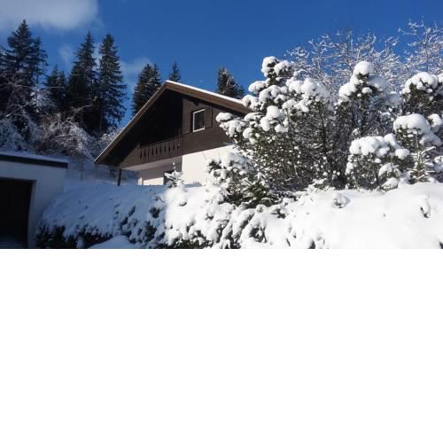 Ferienwohnung Bergnah