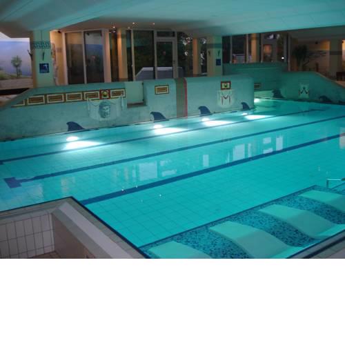 Ferienwohnung Bergpanorama mit Pool