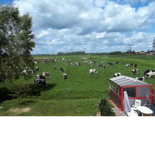 Ferienwohnung Berne