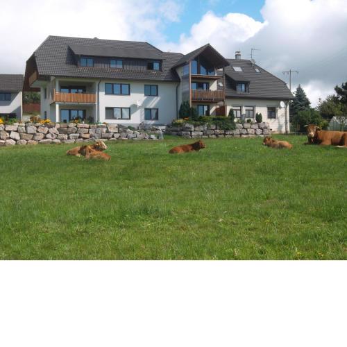 Ferienwohnung Biohof Gerspach