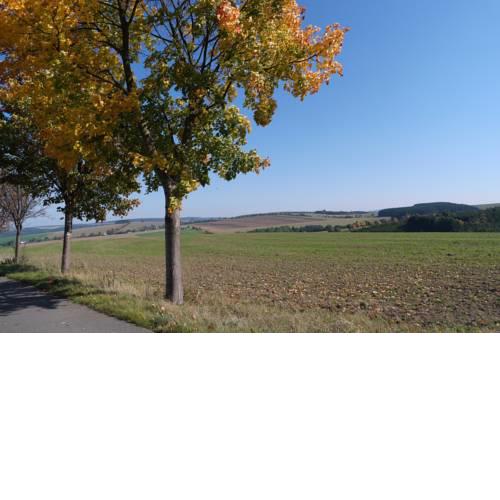 Ferienwohnung Blaumeise