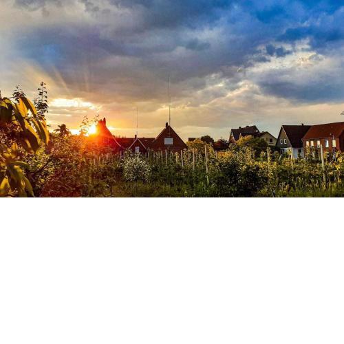 Ferienwohnung Blütenblick