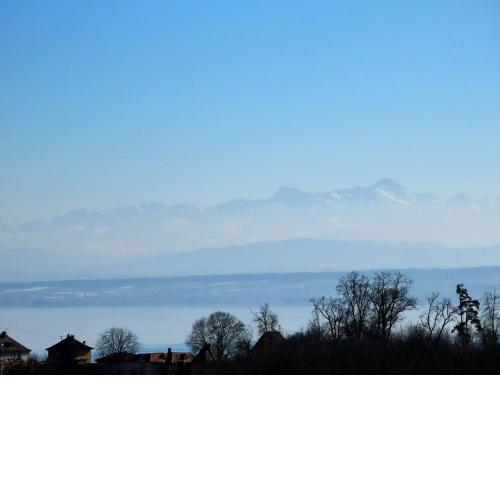 Ferienwohnung Bodenseeblick