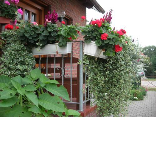 Ferienwohnung Borchert