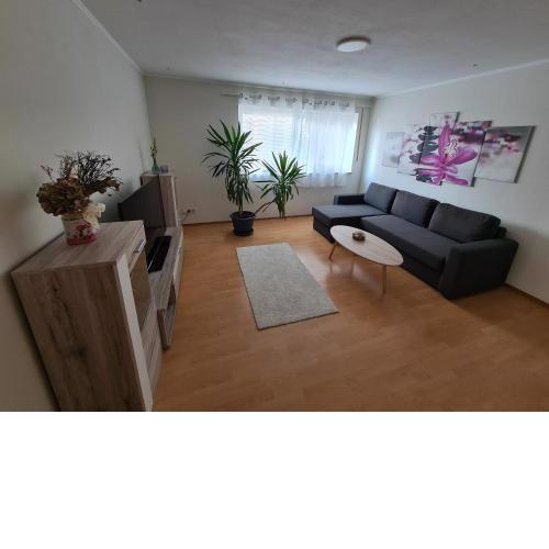 Ferienwohnung Cimen