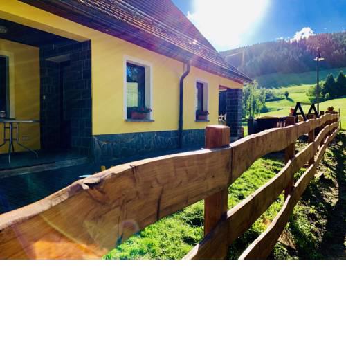 Ferienwohnung-direkt-am-skihang