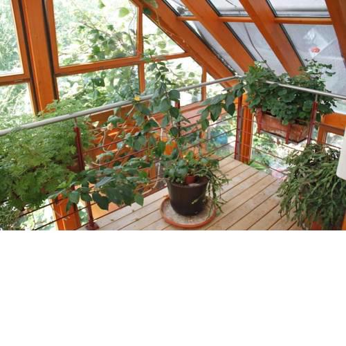Ferienwohnung Dr. Roland Jeske